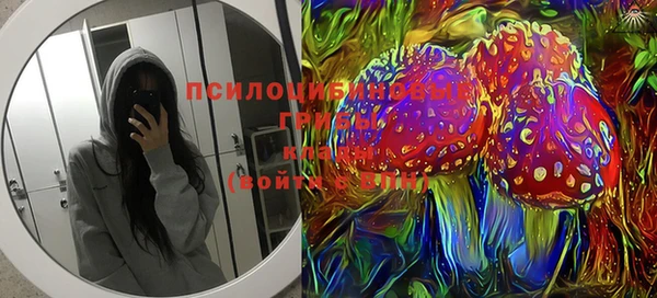 PSILOCYBIN Баксан
